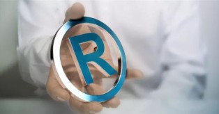 商标驳回复审通过机率