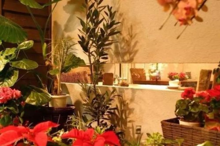 花店注册商标和注意事项