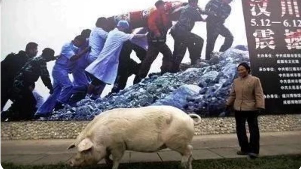 猪坚强被多人抢注商标