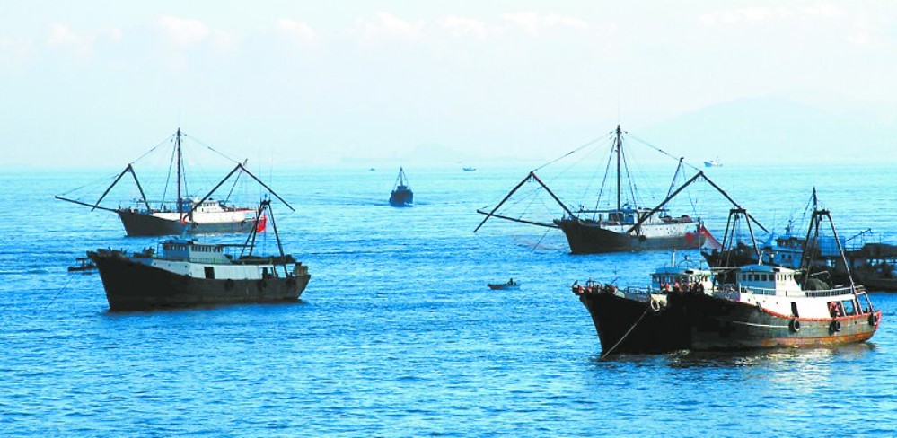 渔业养殖商标注册类别