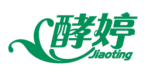 酵婷JIAOTING