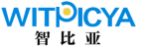 智比亚WITPICYA