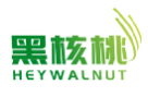 黑核桃HEYWALNUT