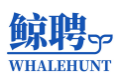 鲸聘WHALEHUNT