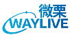 微栗WAYLIVE