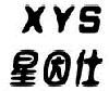 星因仕XYS