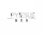 佩哲斯PYJESUS