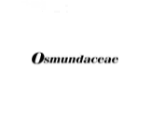 OSMUNDACEAE