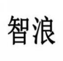 智浪