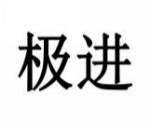 极进