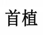 首植