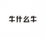 牛什么牛