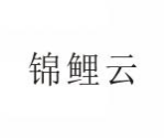 锦鲤云