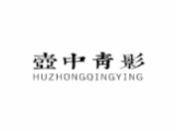 壶中青影huzhongqingying