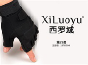 XILUOYU西罗域