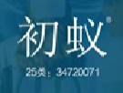 初蚁