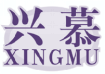 兴慕XINGMU