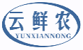 云鲜农YUNXIANNONG