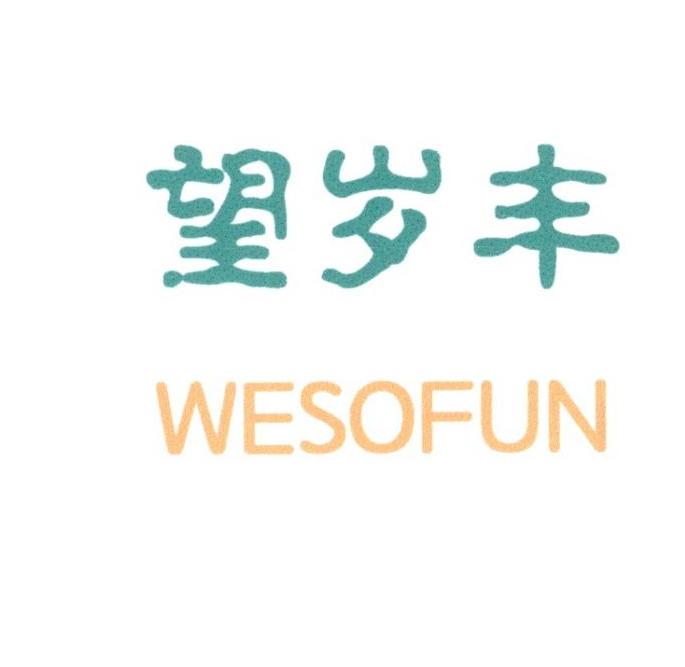 望岁丰WESOFUN