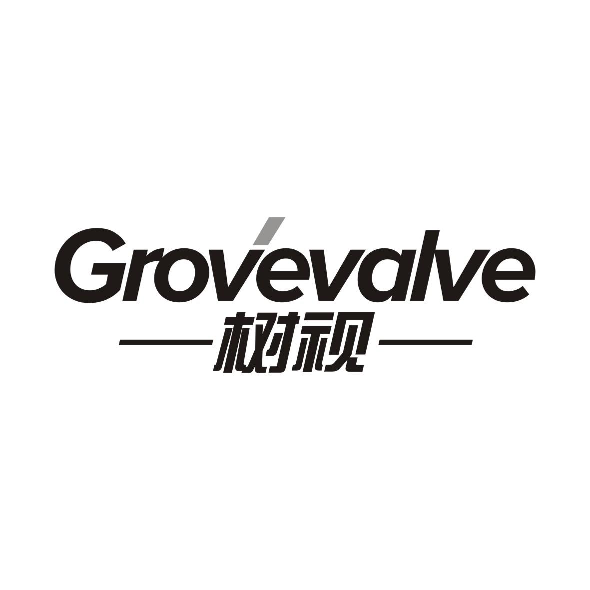 树视GROVEVALVE