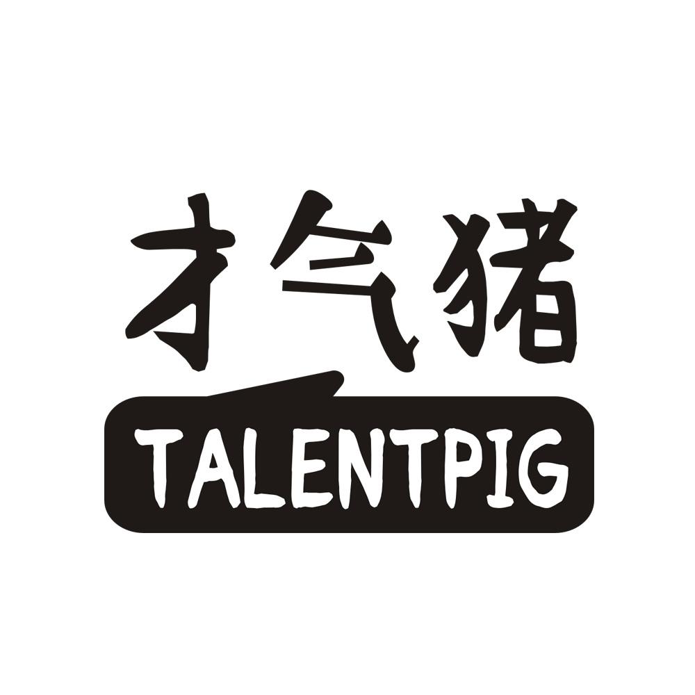 才气猪TALENTPIG