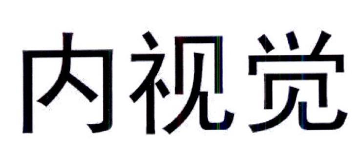 内视觉