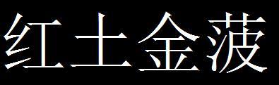 红土金菠