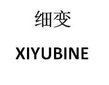 细变XIYUBINE