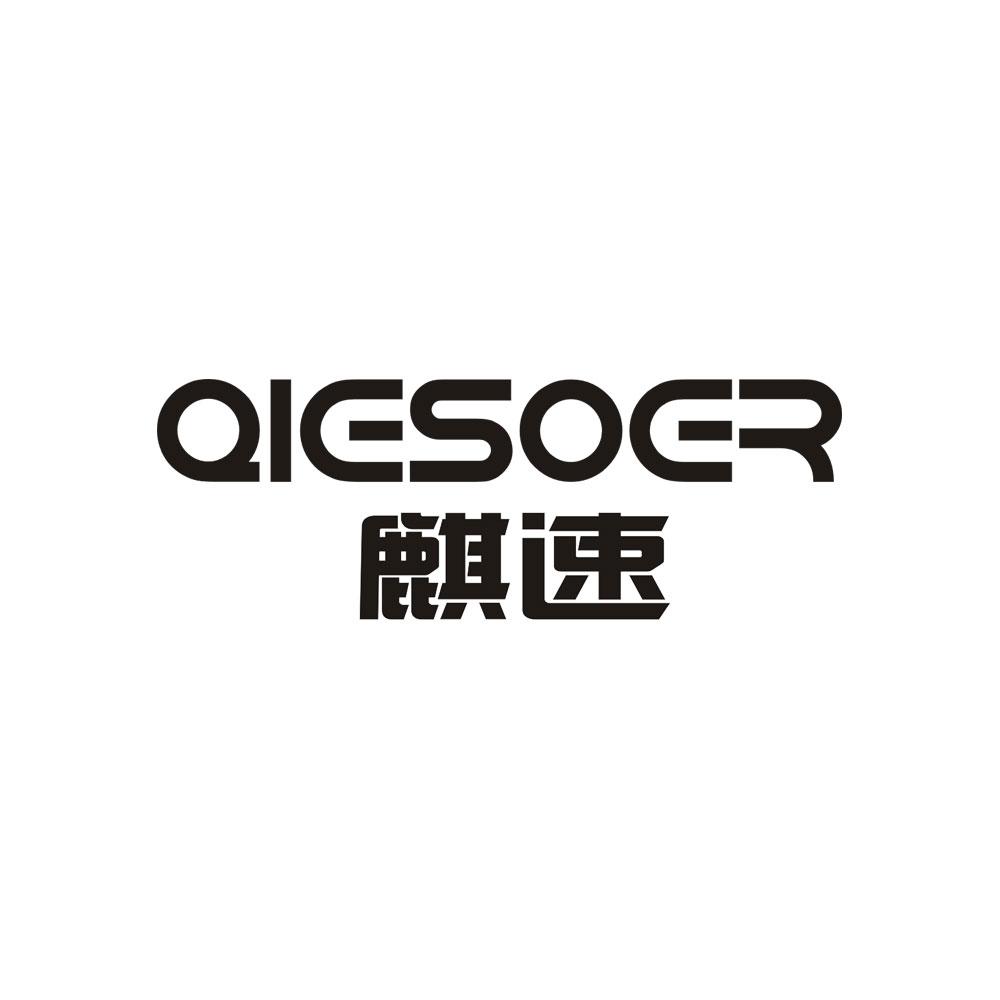 麒速QIESOER