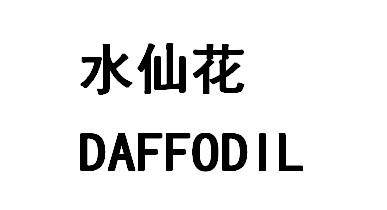 水仙花DAFFODIL