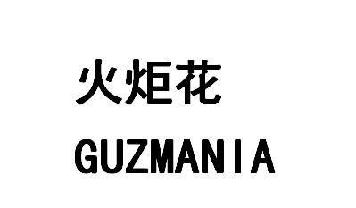 火炬花GUZMANIA
