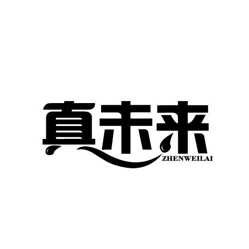 真未来ZHENWEILAI
