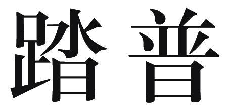 踏普