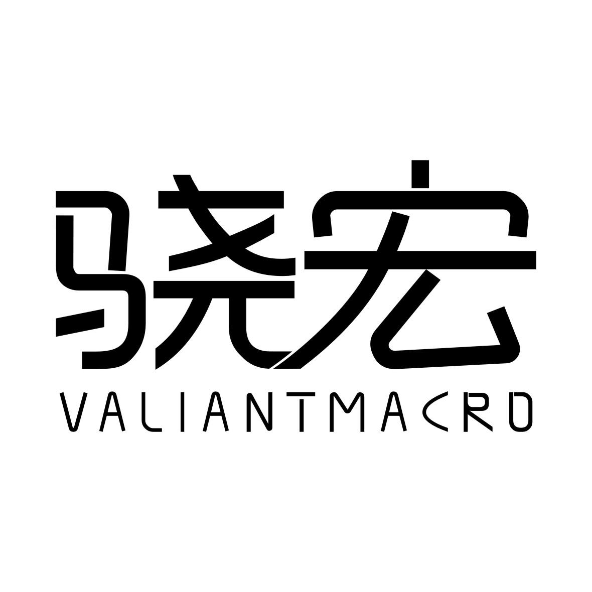 骁宏VALIANTMACRO