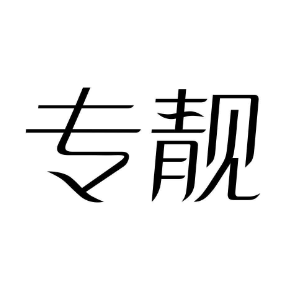 专靓