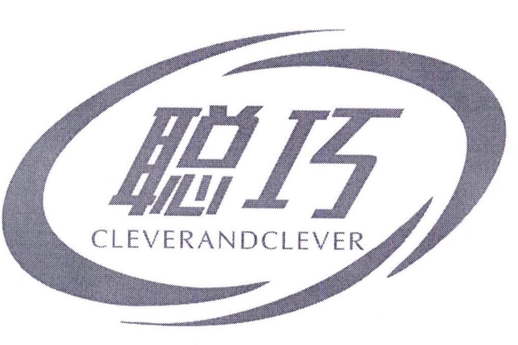 聪巧CLEVERANDCLEVER