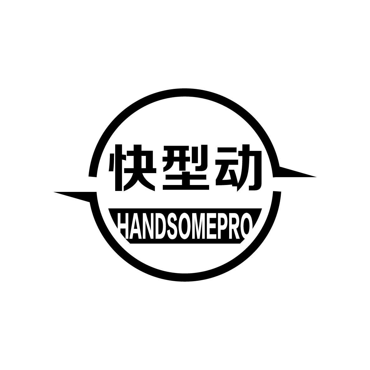 快型动HANDSOMEPRO