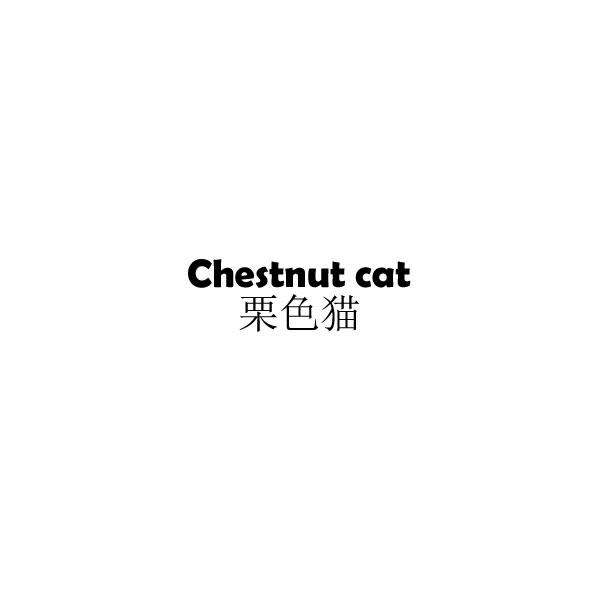 栗色猫CHESTNUTCAT