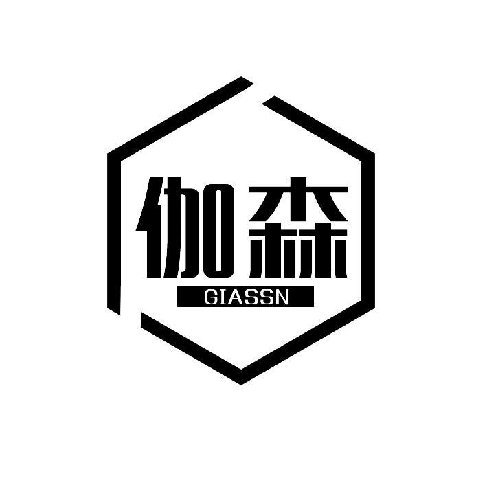 伽森GIASSN