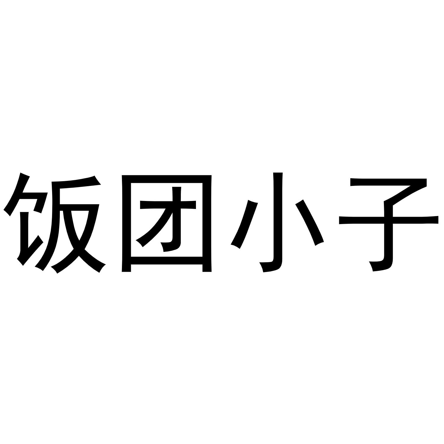 饭团小子