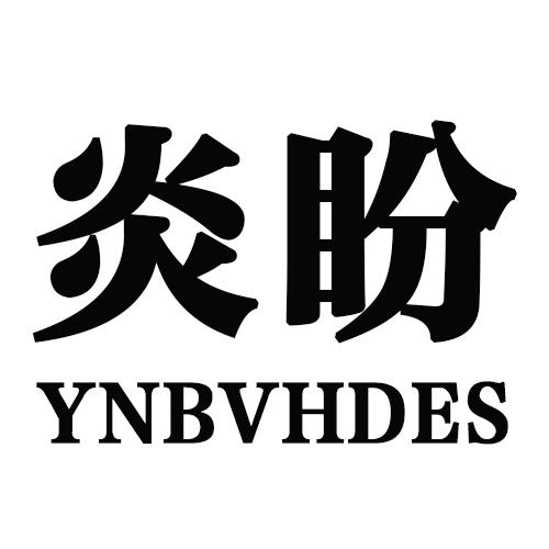 炎盼YNBVHDES