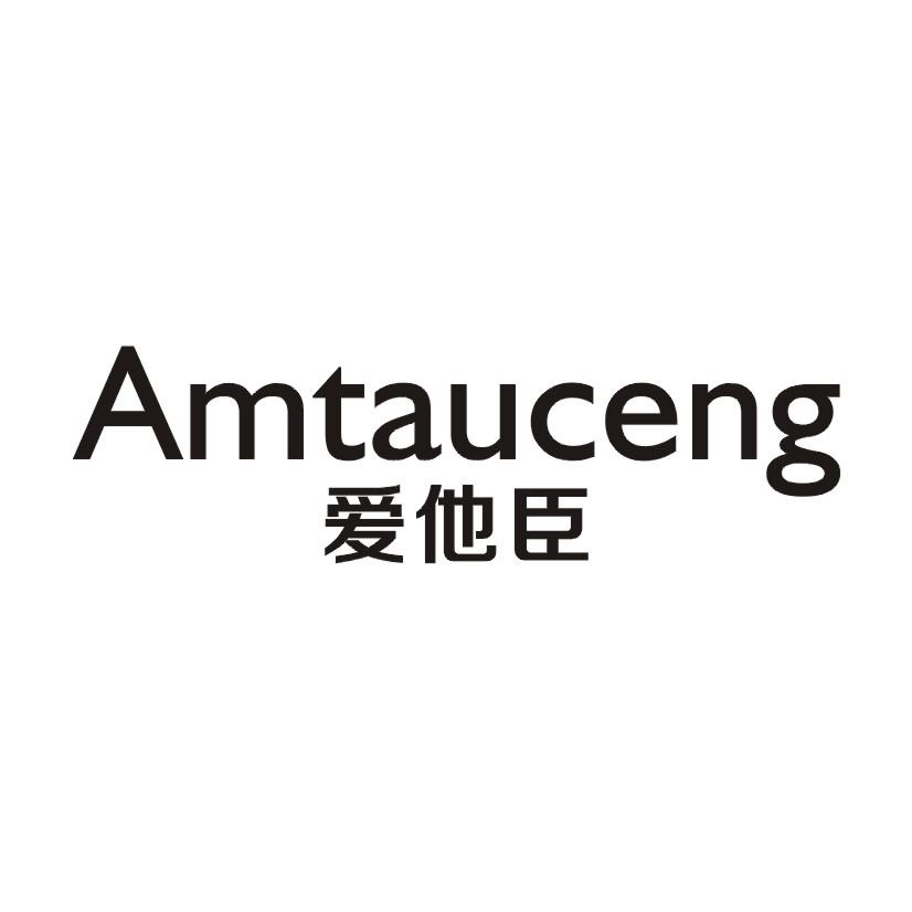 爱他臣AMTAUCENG
