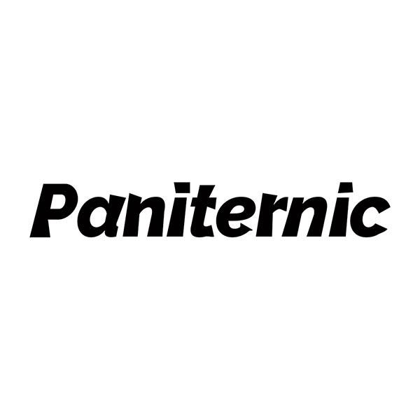 PANITERNIC