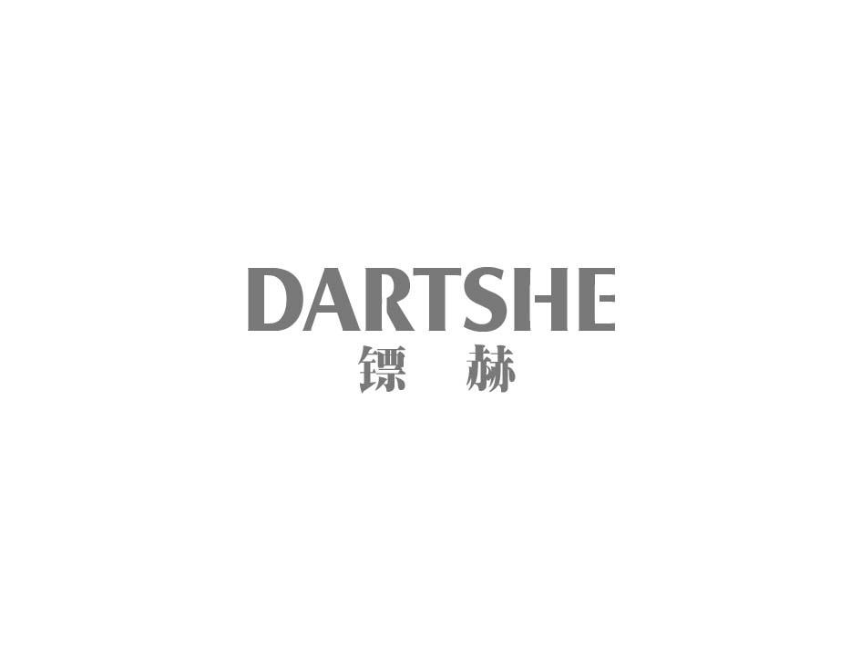 DARTSHE镖赫