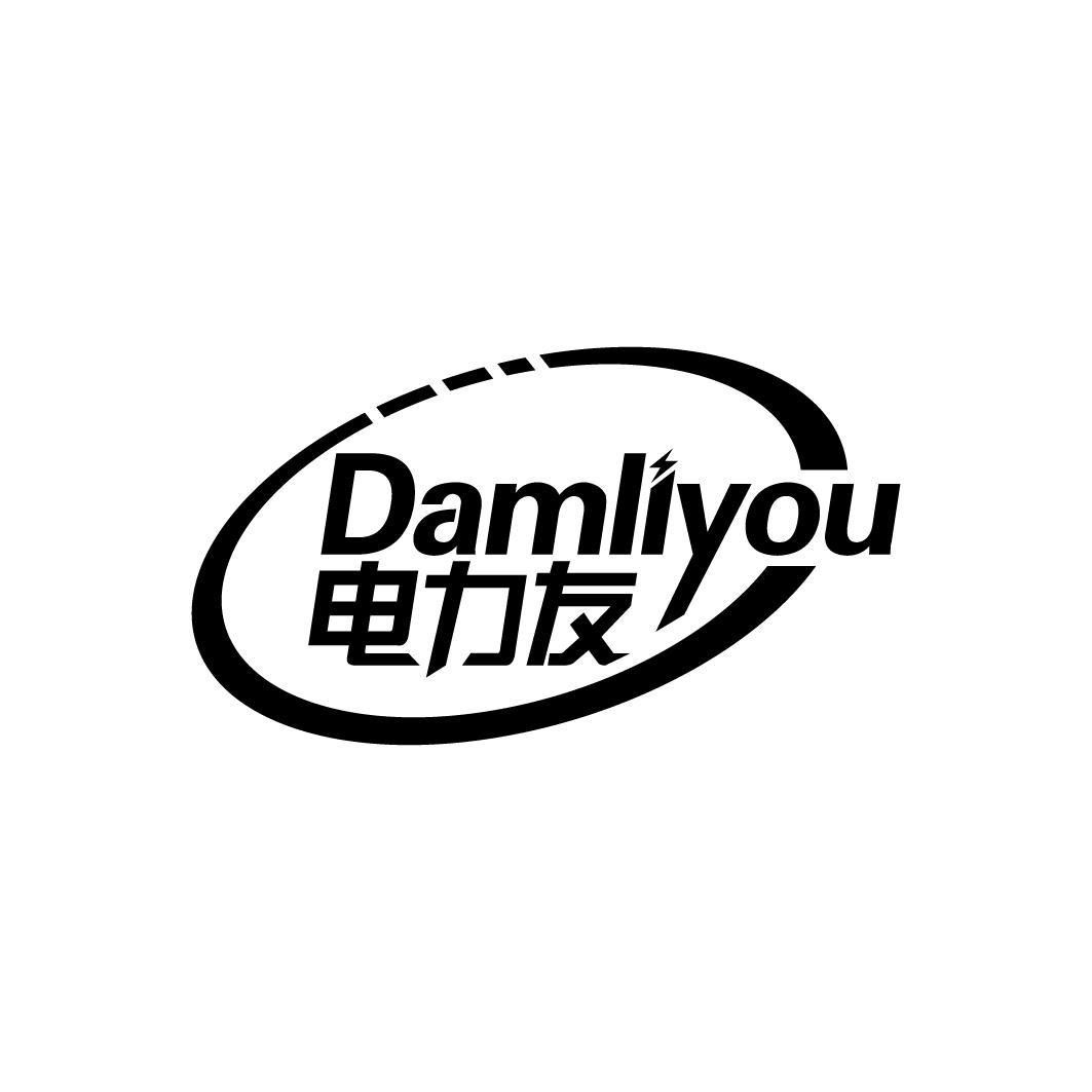 电力友DAMLIYOU