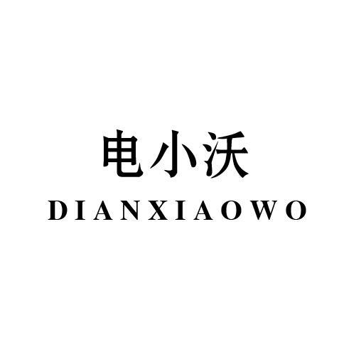 电小沃