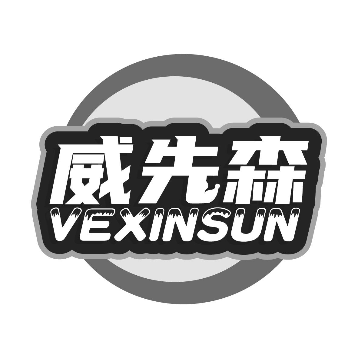 威先森VEXINSUN