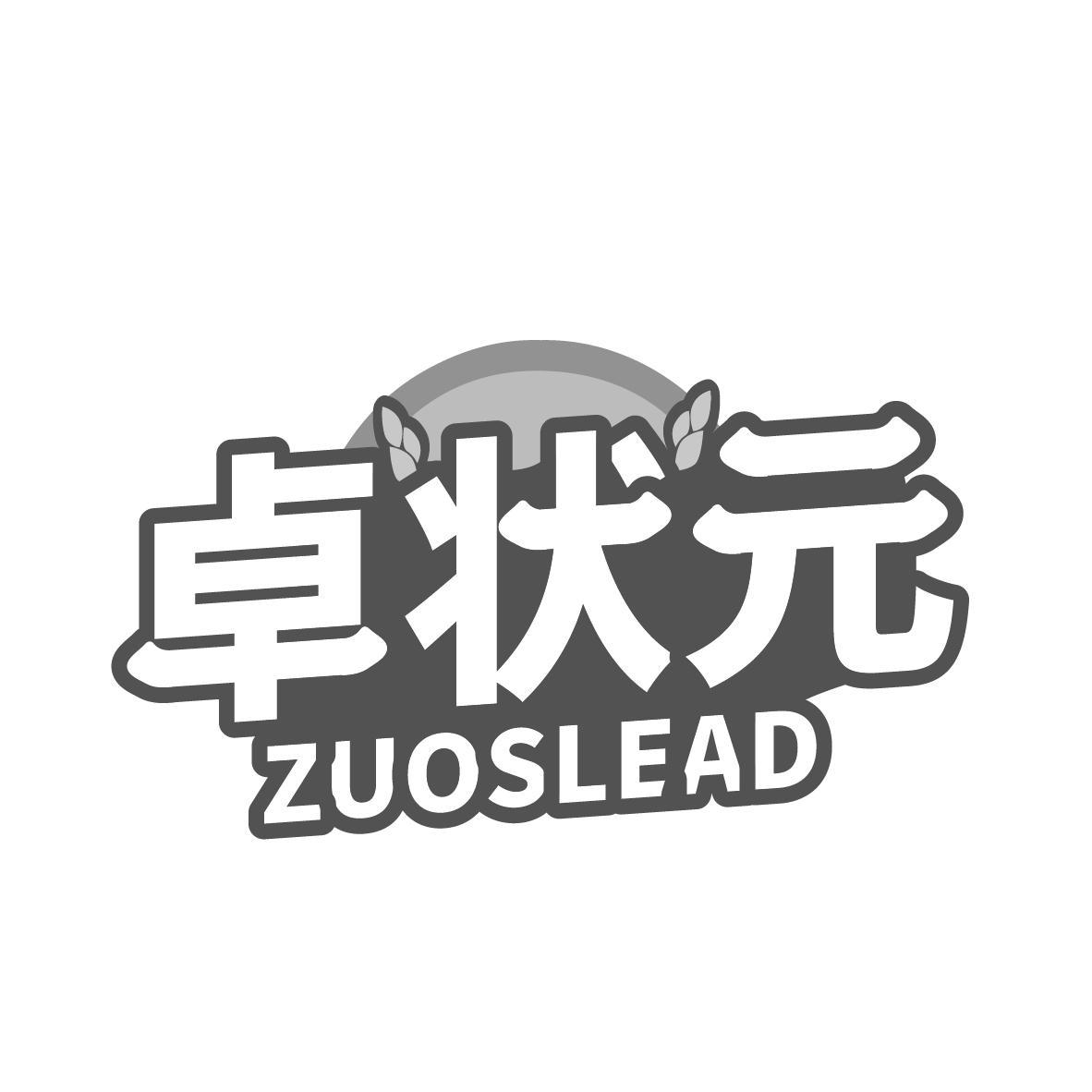 卓状元ZUOSLEAD