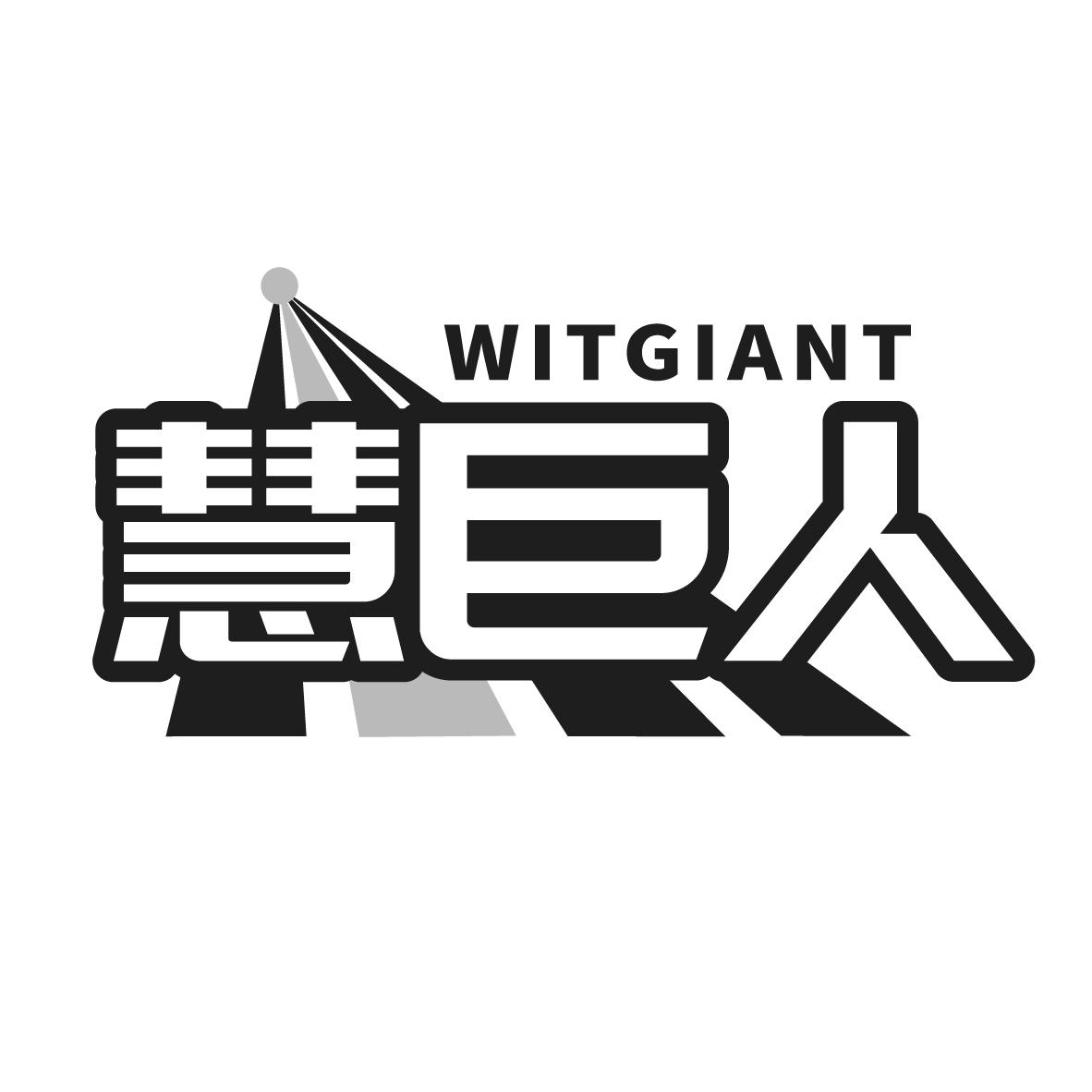 慧巨人WITGIANT