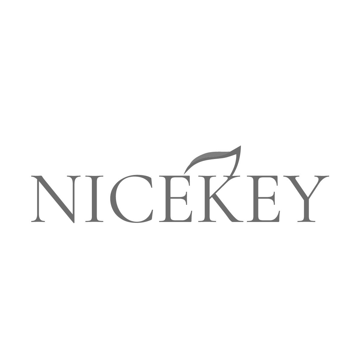 NICEKEY
